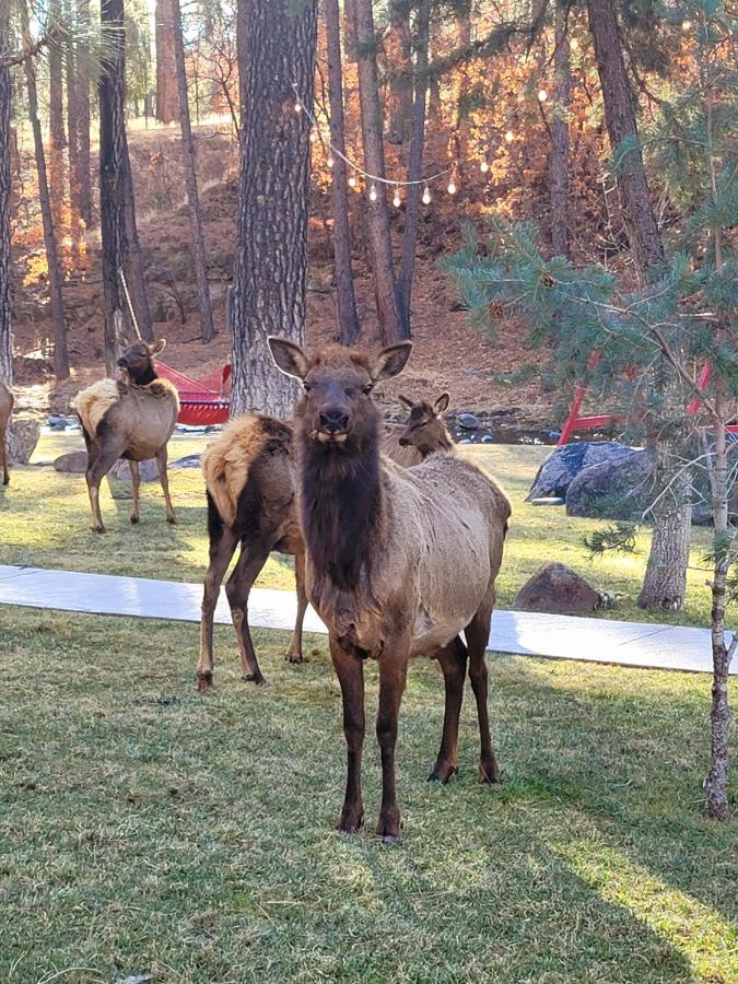 Sierra Blanca Cabins Hotell Ruidoso Eksteriør bilde