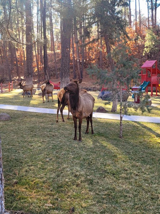 Sierra Blanca Cabins Hotell Ruidoso Eksteriør bilde